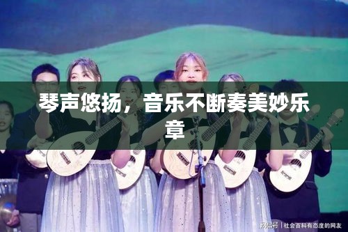 琴声悠扬,音乐不断奏美妙乐章