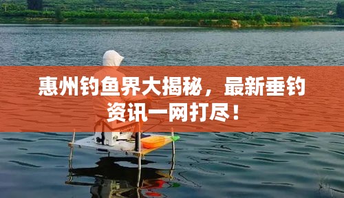 惠州钓鱼界大揭秘，最新垂钓资讯一网打尽！