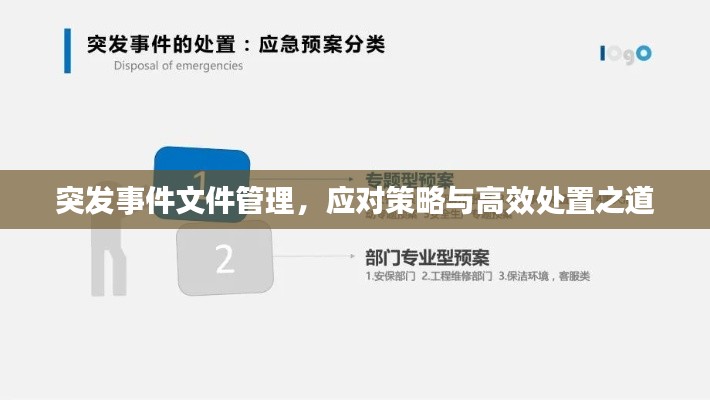 突发事件文件管理,应对策略与高效处置之道