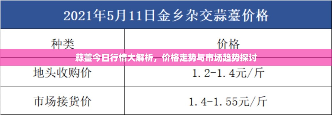 蒜薹今日行情大解析,价格走势与市场趋势探讨