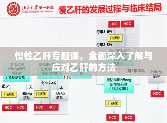 慢性乙肝专题课,全面深入了解与应对乙肝的方法