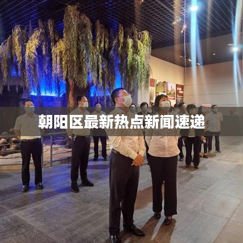 朝阳区最新热点新闻速递