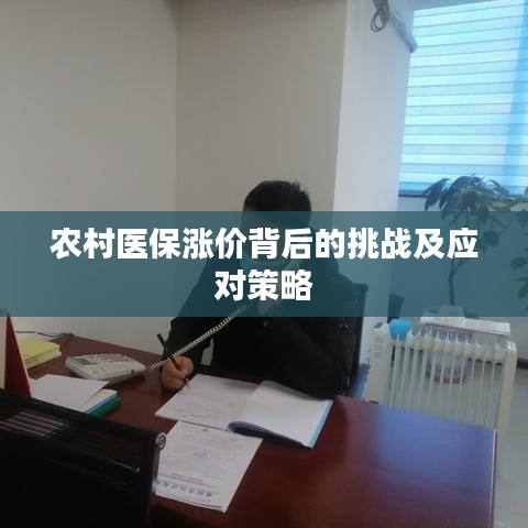 农村医保涨价背后的挑战及应对策略
