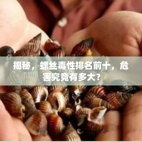 揭秘，螺丝毒性排名前十，危害究竟有多大？