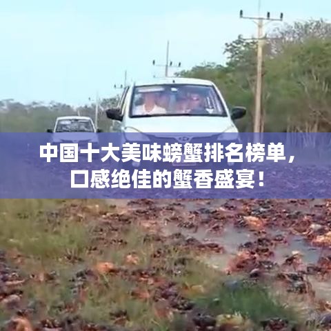 中国十大美味螃蟹排名榜单，口感绝佳的蟹香盛宴！