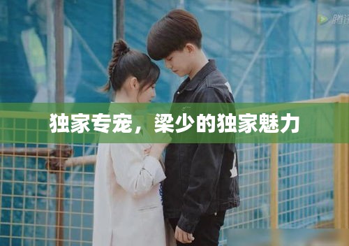 独家专宠,梁少的独家魅力