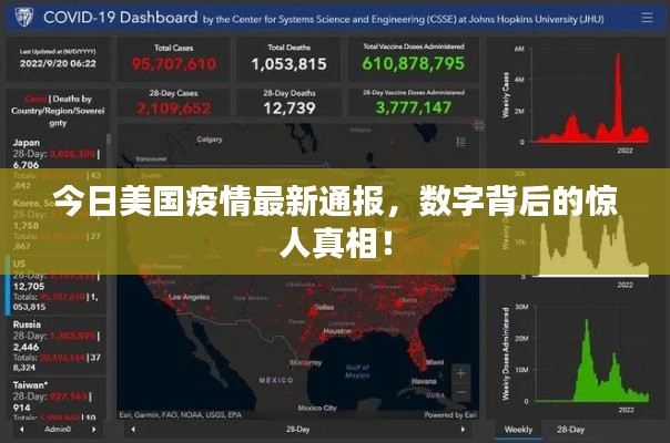 今日美国疫情最新通报，数字背后的惊人真相！