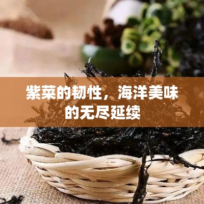 飞沙走石 第2页