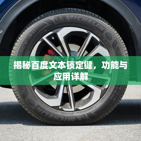 揭秘百度文本锁定键,功能与应用详解