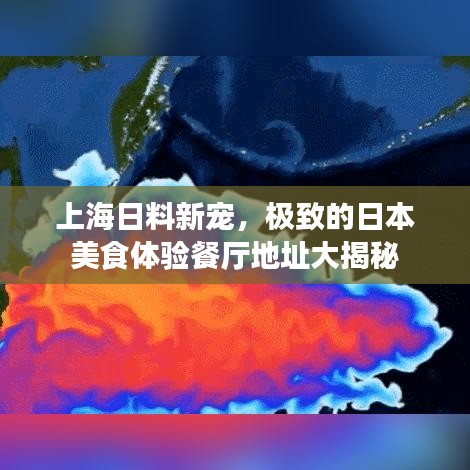 上海日料新宠，极致的日本美食体验餐厅地址大揭秘