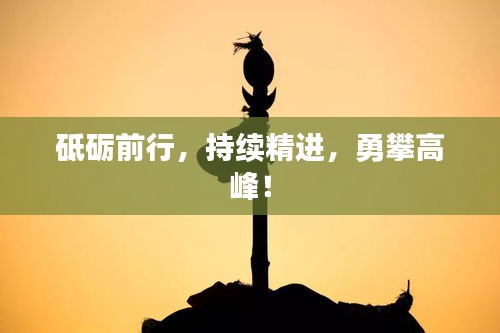 砥砺前行，持续精进，勇攀高峰！