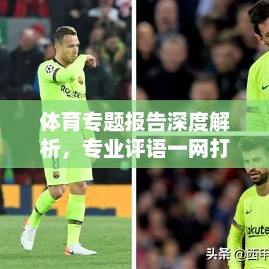 体育专题报告深度解析，专业评语一网打尽