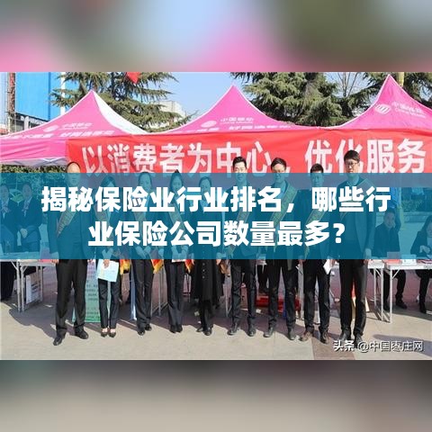 揭秘保险业行业排名,哪些行业保险公司数量最多?