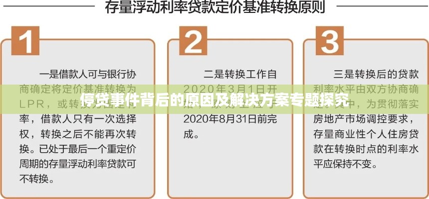 停贷事件背后的原因及解决方案专题探究