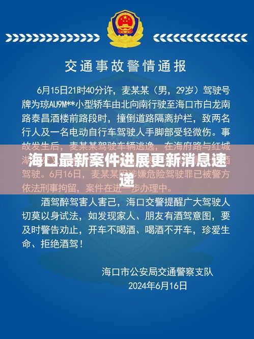 海口最新案件进展更新消息速递