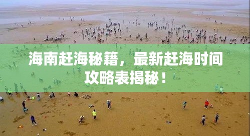 海南赶海秘籍,最新赶海时间攻略表揭秘!