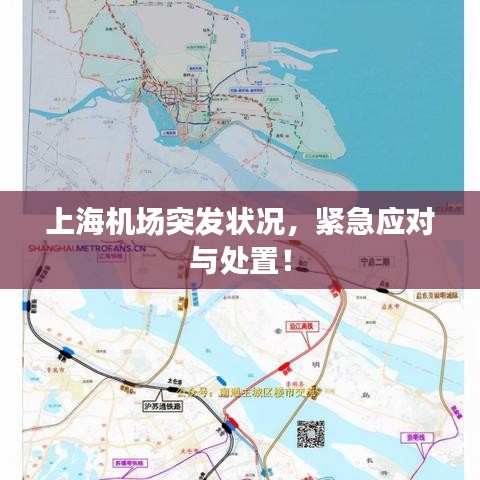 上海机场突发状况,紧急应对与处置!