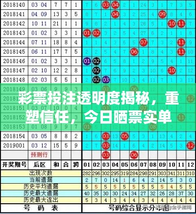 彩票投注透明度揭秘，重塑信任，今日晒票实单最新资讯！