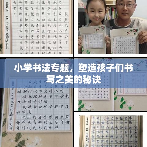 小学书法专题，塑造孩子们书写之美的秘诀