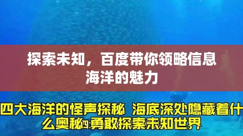 探索未知,百度带你领略信息海洋的魅力