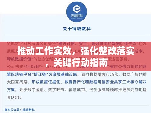 推动工作实效,强化整改落实,关键行动指南
