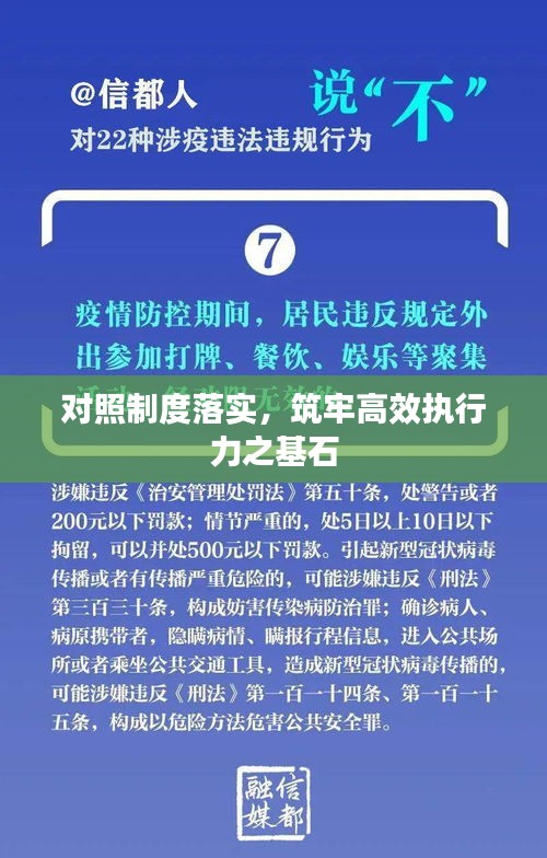 对照制度落实，筑牢高效执行力之基石